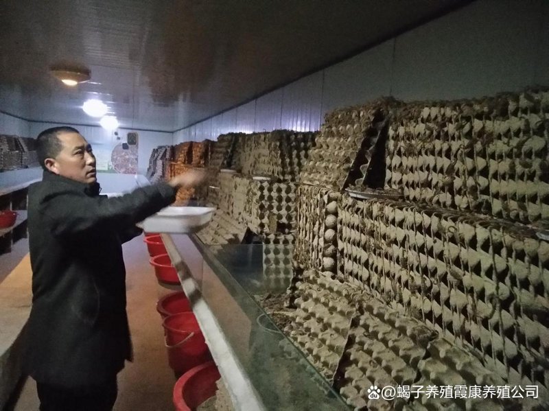 蝎子养殖利润